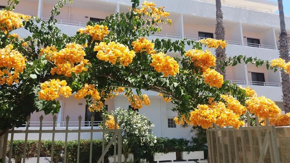 Kardamena Holiday Apartments 외부 사진