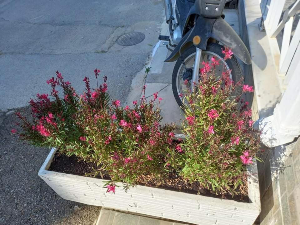 Kardamena Holiday Apartments 외부 사진